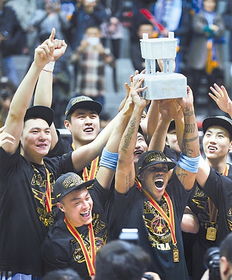 201516cba季后赛比分图（201516cba总*）