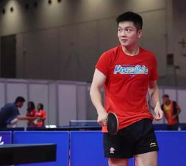 雅加达亚运会乒乓球赛程（雅加达亚运会乒乓球混双冠军）