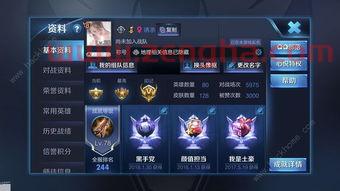 季后赛门票规则（季后赛门票多少钱）