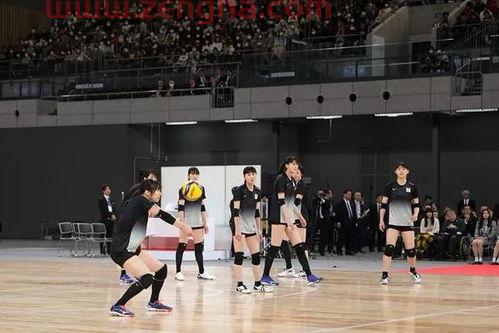 日本教练训练中国女排素材（日本女排教练辞职）