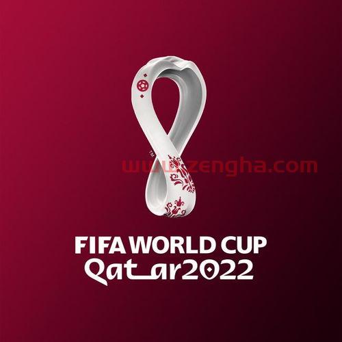 如何评价2022年卡塔尔世界杯