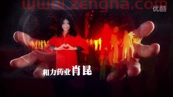 2010总决赛第七场