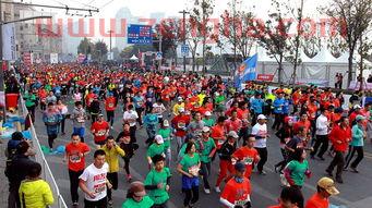 上海马拉松2013