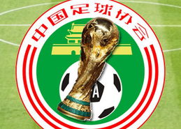 中国世界杯举办权2022