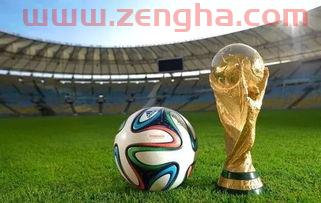 2022足球世界杯为什么在冬天