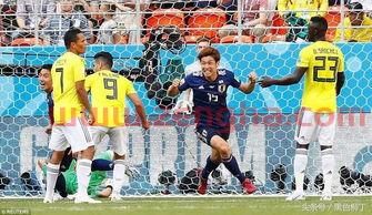2022世界杯有法国吗现在