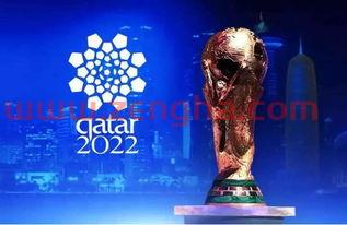 2022年世界杯卡塔尔在哪个国家举行