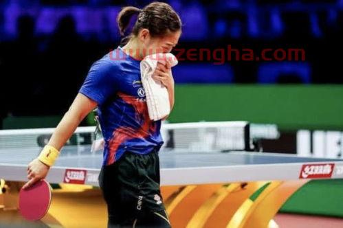 2013世乒赛